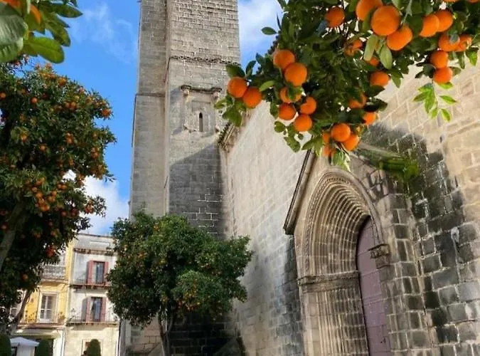 Sherryflat Luna ヘレス